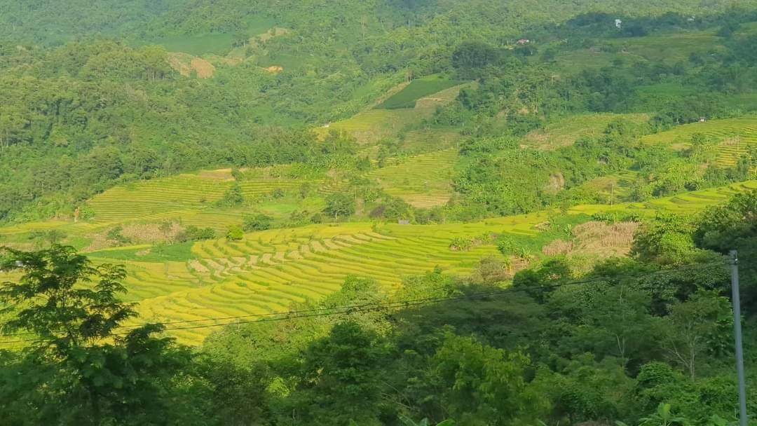 Ecolodge Ke Nenh Dien Bien Ban Him Lom Bagian luar foto